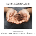 Hajhullás Signature - 6 Hónapos Program
